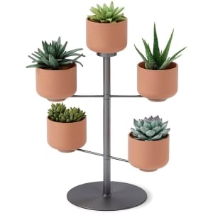 Σταντ με 5 κασπώ Umbra Terrapota planter 1015664-624