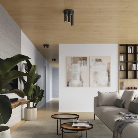 Φωτιστικό οροφής LAGOS 3P μαύρο ατσάλι/3xmax 10W LED